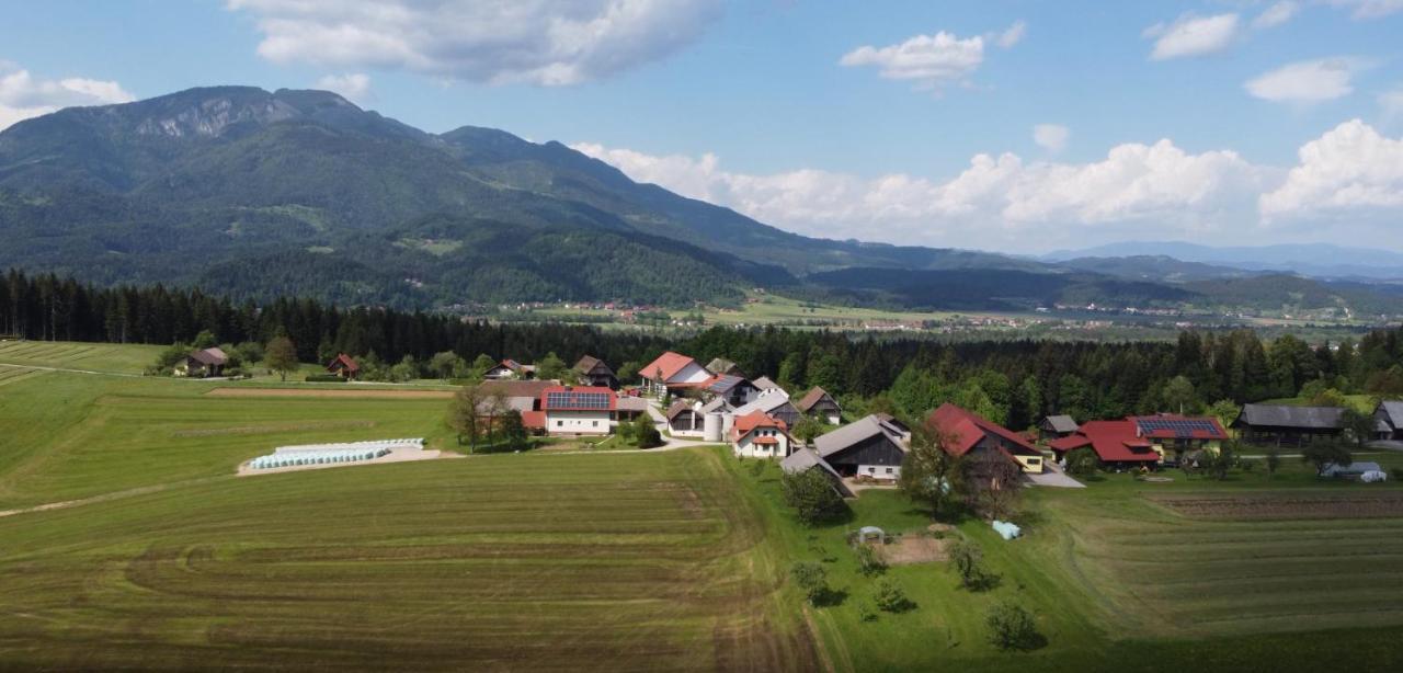 Apartment With Mountain View And Rivers Close By Smartno ob Dreti Экстерьер фото