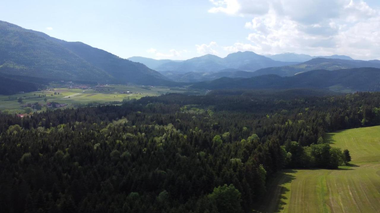 Apartment With Mountain View And Rivers Close By Smartno ob Dreti Экстерьер фото