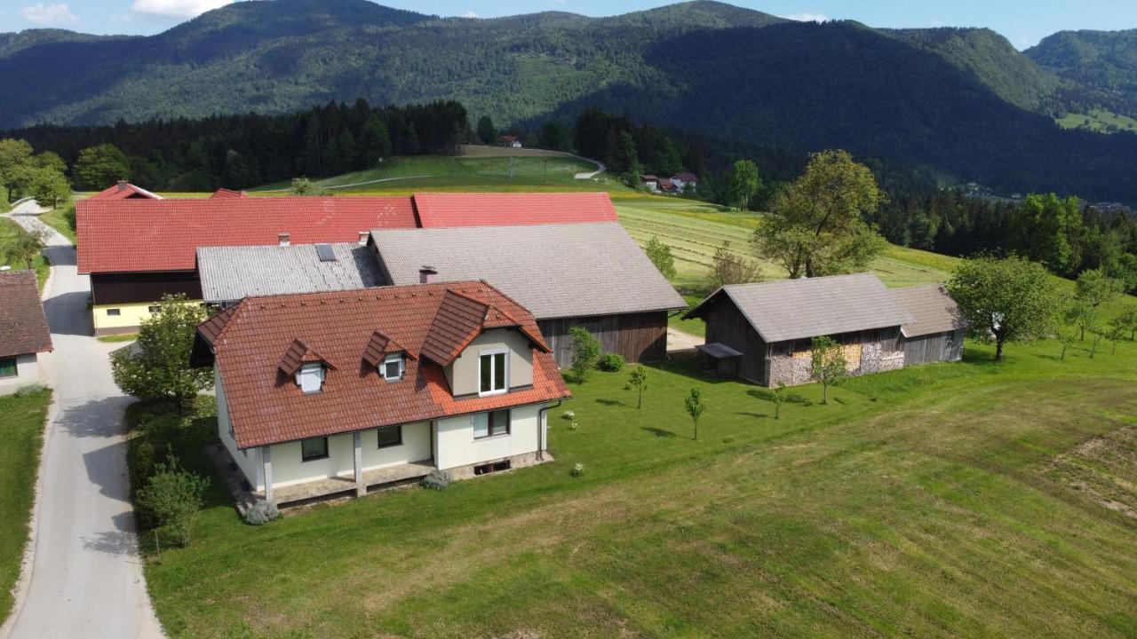 Apartment With Mountain View And Rivers Close By Smartno ob Dreti Экстерьер фото